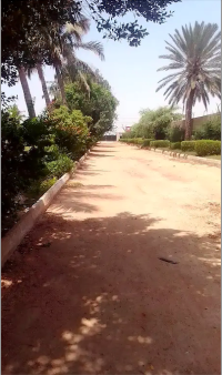 INDUSTRIAL PLOT FOR SALE