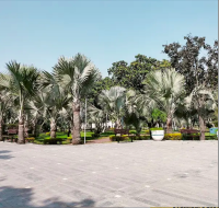 10 Marla Plot for Sale