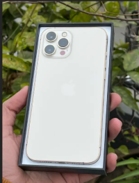 iphone 12 pro max 256gb