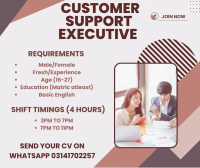 Customer Support Executive