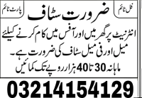 NEED STAFF MALE AND FEMALE