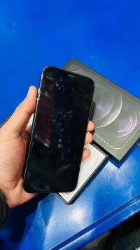 iphone 12max hk pta