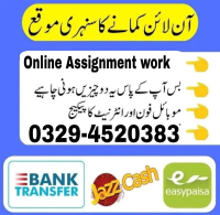 Data Entry Job / Part Time Full Time Job / Typing job /Assignment Job