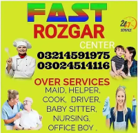 House Maids Baby Sitter Cook Drivers Chef Couple all Domestic staff