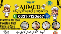 Chinese Cook Pakistani Chef Kitchen Helper Couple Chef Cook Available