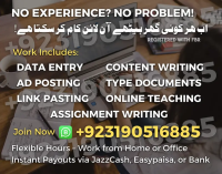 Typing job / Data Entry Job / Assignment Job / Online Job / Part Time
