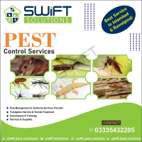 Pest control, deemak control, spray fumigation, Termite, Dengue spary