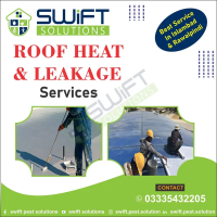 Dengue/ Fumigation spray/ sofa & water tank cleaning