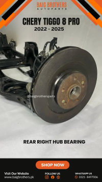 Hyundai Elantra Hybrid 1.6 Rs Bumper Show Grill Lower Chrome Drl Door