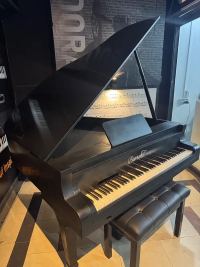 Digital piano available for / rent /and shoot