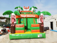 Branded Jumping castle and slide for sale