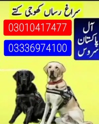 Army dog center 03010417477